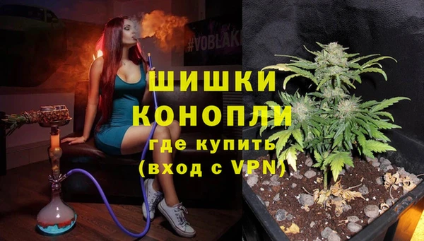 винт Богданович