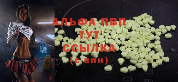 индика Ростов