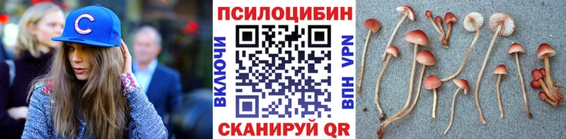 Псилоцибиновые грибы Cubensis  ОМГ ОМГ маркетплейс  Костомукша 